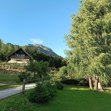 Kralj Matjaz - The Green Escape Under Alps Golnik Exterior photo